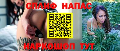 a pvp Будённовск